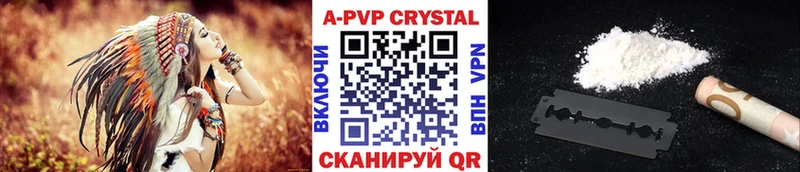 где найти Новохопёрск Альфа ПВП СК