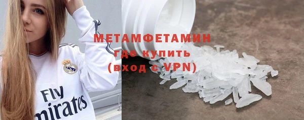 крисы Бородино