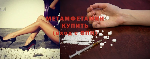 крисы Бородино