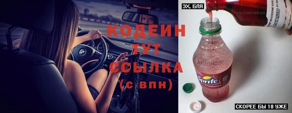 крисы Бородино