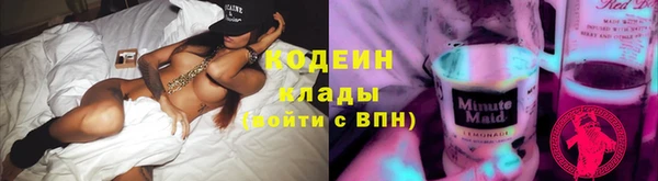 крисы Бородино