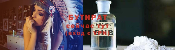 крисы Бородино
