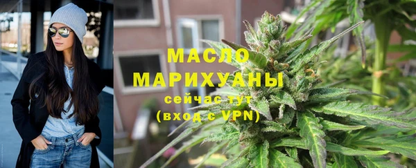 крисы Бородино