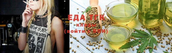 крисы Бородино