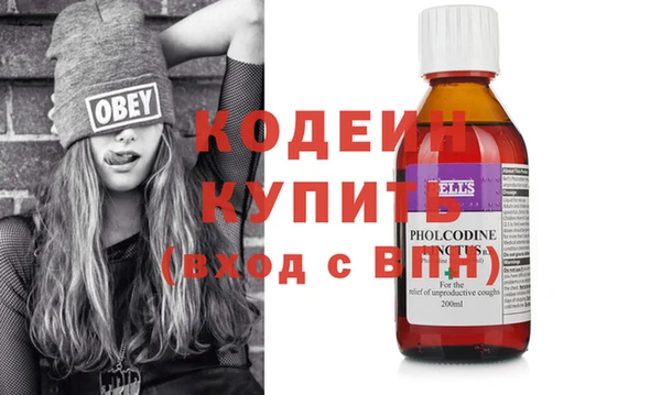 крисы Бородино