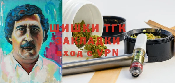крисы Бородино