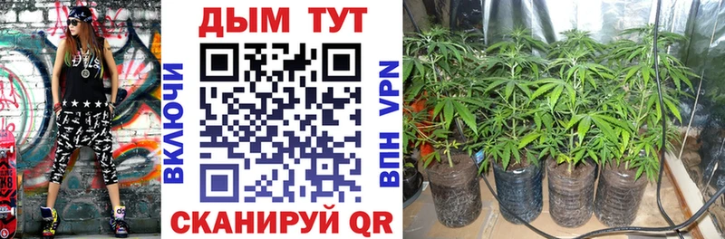 Конопля LSD WEED  как найти   Новохопёрск 